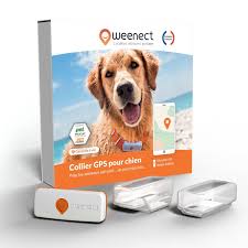 Weenect Chien XS - Mini GPS Innovant pour Chiens