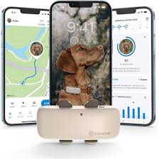 Tractive : Collier GPS Innovant pour Chien