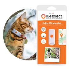 Weenect Cats 2 - Collier GPS pour Chat avec Suivi en Temps Réel