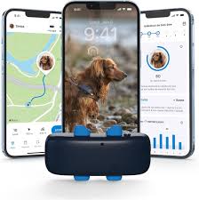 Tractive – Collier GPS pour Chien : Suivi Global et Alertes Anti-Fugue