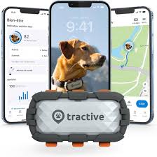 Tractive - Collier GPS XL Adventure pour Chien