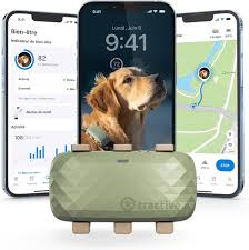 Tractive – Collier GPS XL pour Chien avec 1 Mois d'Autonomie