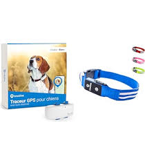 Tractive - GPS et Collier LED pour Chien