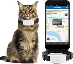 APP GPS Chien Mini : Suivi et Chat