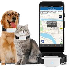 Collier GPS Chat Winnes : Suivi en Temps Réel et Protection Géofence