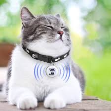Kexpery – Traceur GPS pour Animaux de Compagnie