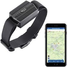Collier GPS pour Chien TK935 - Suivi en Temps Réel sans Limite