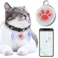 Fiorky : Traqueur GPS pour Chats et Chiens