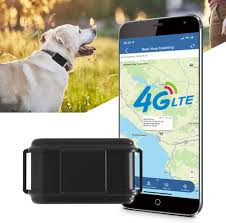 Collier GPS 4G pour Chien de Chasse avec Appels Vocaux