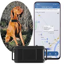Collier GPS 4G pour Chien avec Alarme et Suivi Statistique