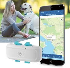 Collier GPS Étanche pour Chien - Sans Abonnement