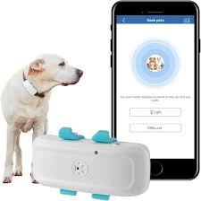 Collier GPS 4G Sans Abonnement pour Chien - Winnes