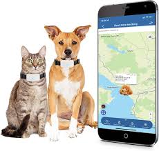 Collier GPS Étanche pour Animaux - Suivi en Temps Réel