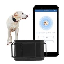 Collier GPS 4G Sans Abonnement pour Chien - Winnes