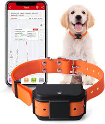 MiCODUS : Traqueur GPS 4G Premium pour Chiens