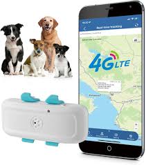 Collier GPS 4G pour Animaux sans Abonnement