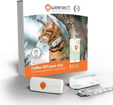 Weenect Chat XS - Collier GPS Mini pour Chats