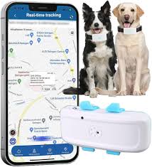 Collier GPS Léger pour Chien - 41g
