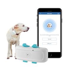 Winnes Traceur GPS : Collier Anti-Fugue pour Chats et Chiens