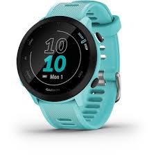 Garmin Forerunner 55 - Montre GPS Running Multi-Activités
